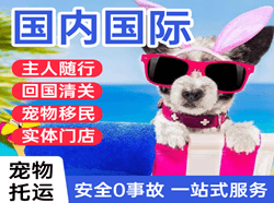 桃仙航空运输国际宠物托运 【国
